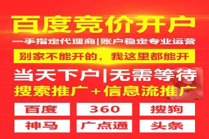 谷歌SEM广告平台的使用技巧：从新手到高手的进阶之路